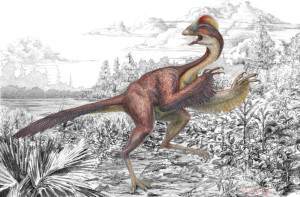 6-carn-dino-anzu