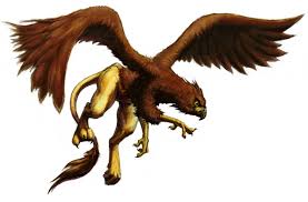 griffon