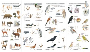 98020_interieure_Hres_1