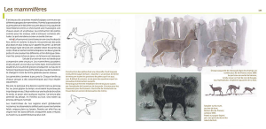 Capture d’écran 2014-09-06 à 12.03.29