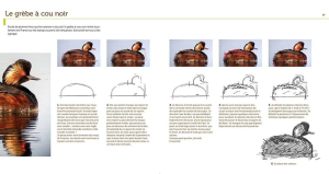 Capture d’écran 2014-09-06 à 12.03.41