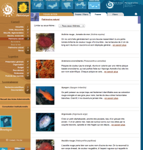 Capture d’écran 2014-09-21 à 10.37.16