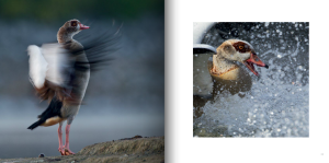 Capture d’écran 2014-09-29 à 11.45.03