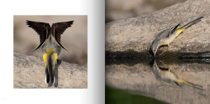 Capture d’écran 2014-09-29 à 11.45.27