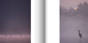 Capture d’écran 2014-09-29 à 11.45.49