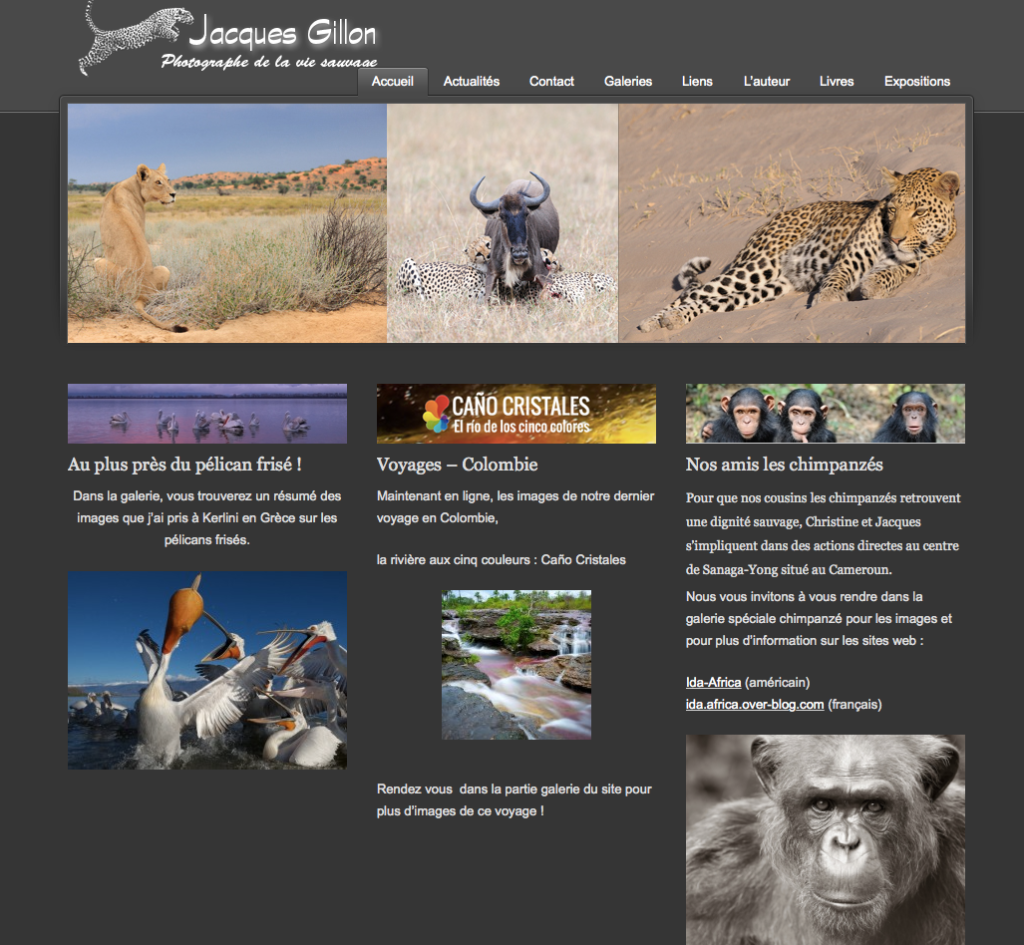 Capture d’écran 2015-06-01 à 19.48.08