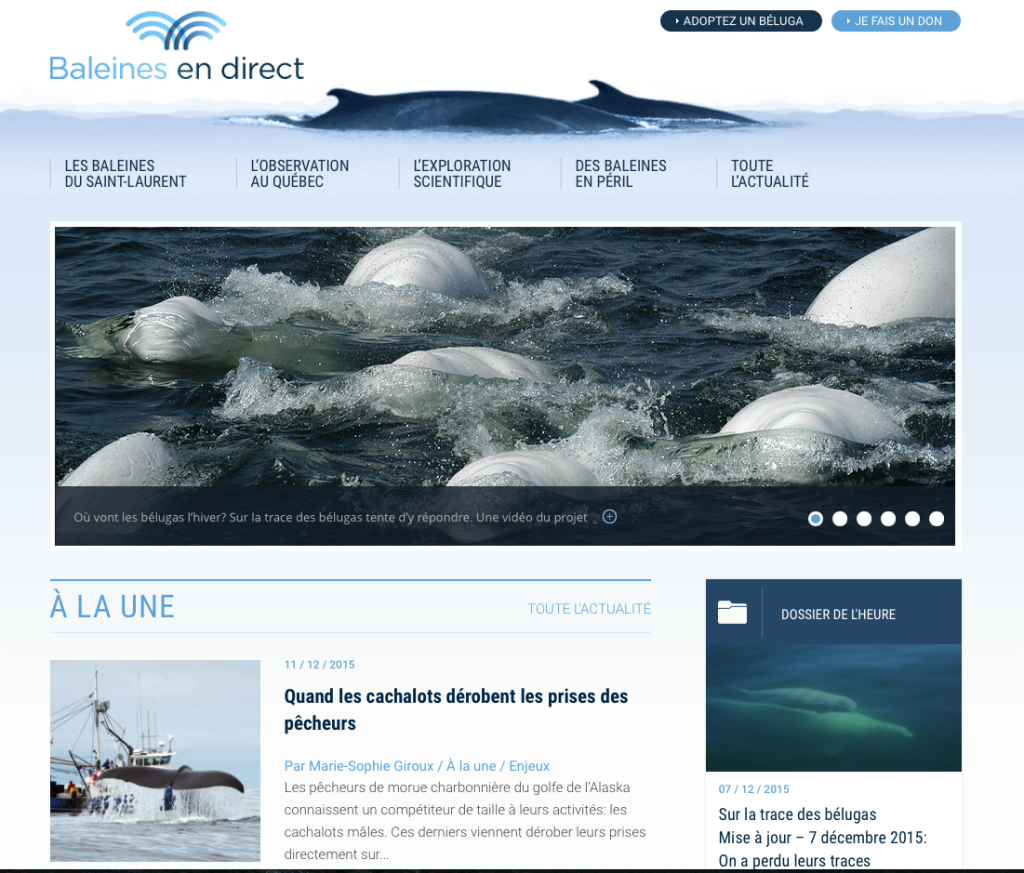 Capture d’écran 2015-12-12 à 09.52.13