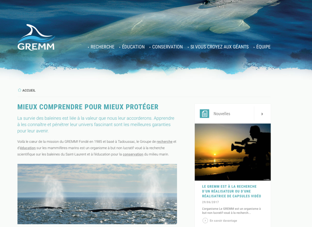 Capture d’écran 2017-07-14 à 18.46.14