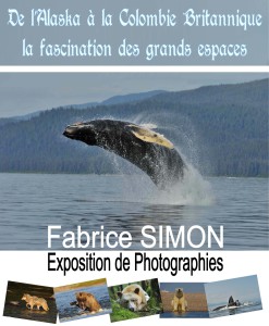 affiche Fabrice SIMON.pub