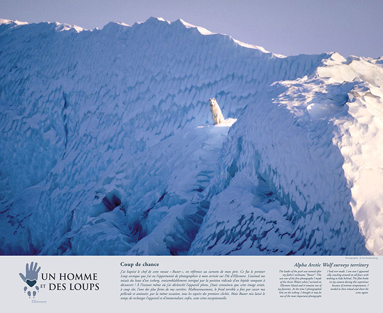 un-homme-et-des-loups16