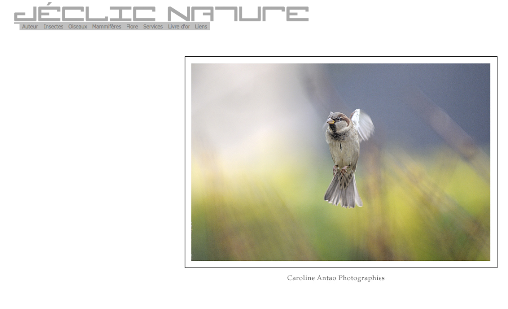 Capture d’écran 2014-10-01 à 23.54.33