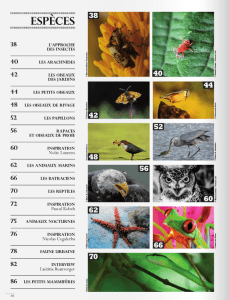 Capture d’écran 2014-10-13 à 19.13.34