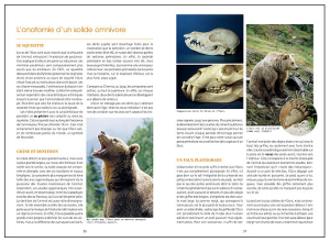 Capture d’écran 2014-10-14 à 21.20.22