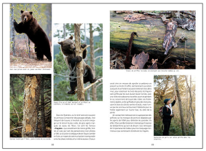 Capture d’écran 2014-10-14 à 21.20.30