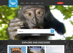 Capture d’écran 2014-10-15 à 11.30.37