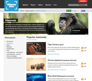 Capture d’écran 2014-10-15 à 12.33.15