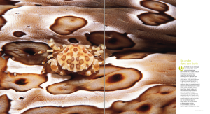 Capture d’écran 2014-10-16 à 08.46.41