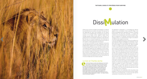 Capture d’écran 2014-10-16 à 08.46.54