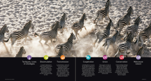 Capture d’écran 2014-10-16 à 08.47.07