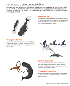 Capture d’écran 2014-10-16 à 10.08.29