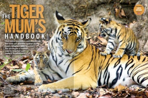 Capture d’écran 2014-10-18 à 09.36.17