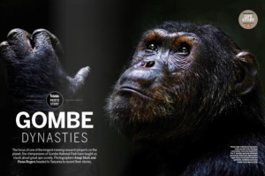 Capture d’écran 2014-10-18 à 09.36.44