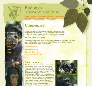 Capture d’écran 2014-10-20 à 23.18.02