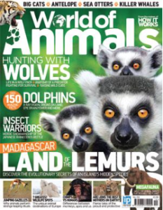 Capture d’écran 2014-10-22 à 09.47.58