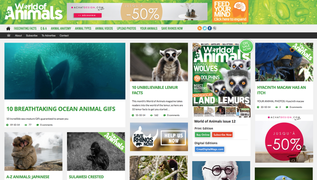 Capture d’écran 2014-10-22 à 10.41.51