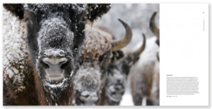 Capture d’écran 2014-10-22 à 14.41.33