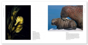 Capture d’écran 2014-10-22 à 14.41.43