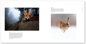 Capture d’écran 2014-10-22 à 14.42.05