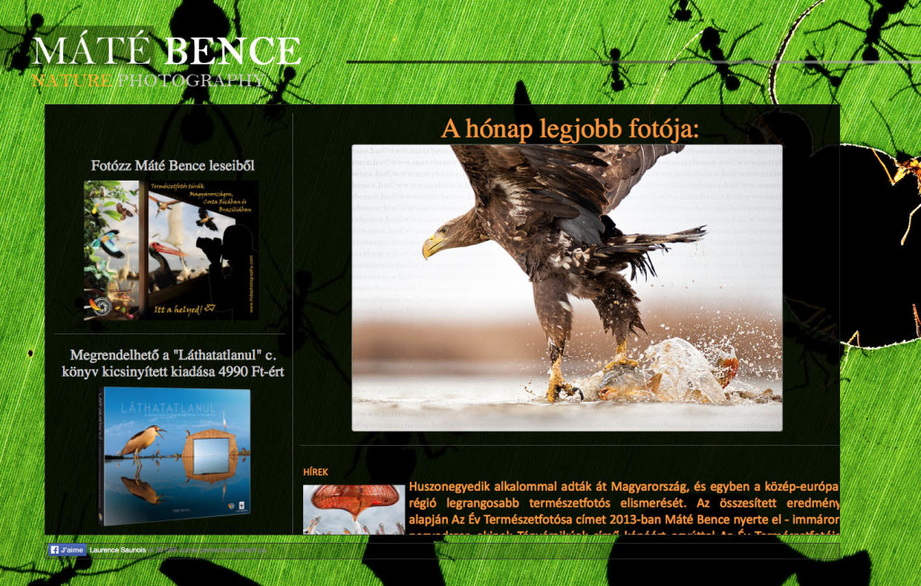 Capture d’écran 2014-10-28 à 13.30.04_modifié-1