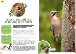 Capture d’écran 2014-10-29 à 16.57.31