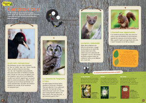 Capture d’écran 2014-10-29 à 16.58.01