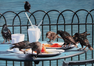 Capture d’écran 2014-11-18 à 23.06.34