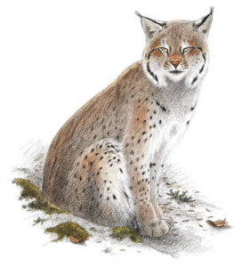 Capture-d’écran-2014-12-12-à-18.18.58