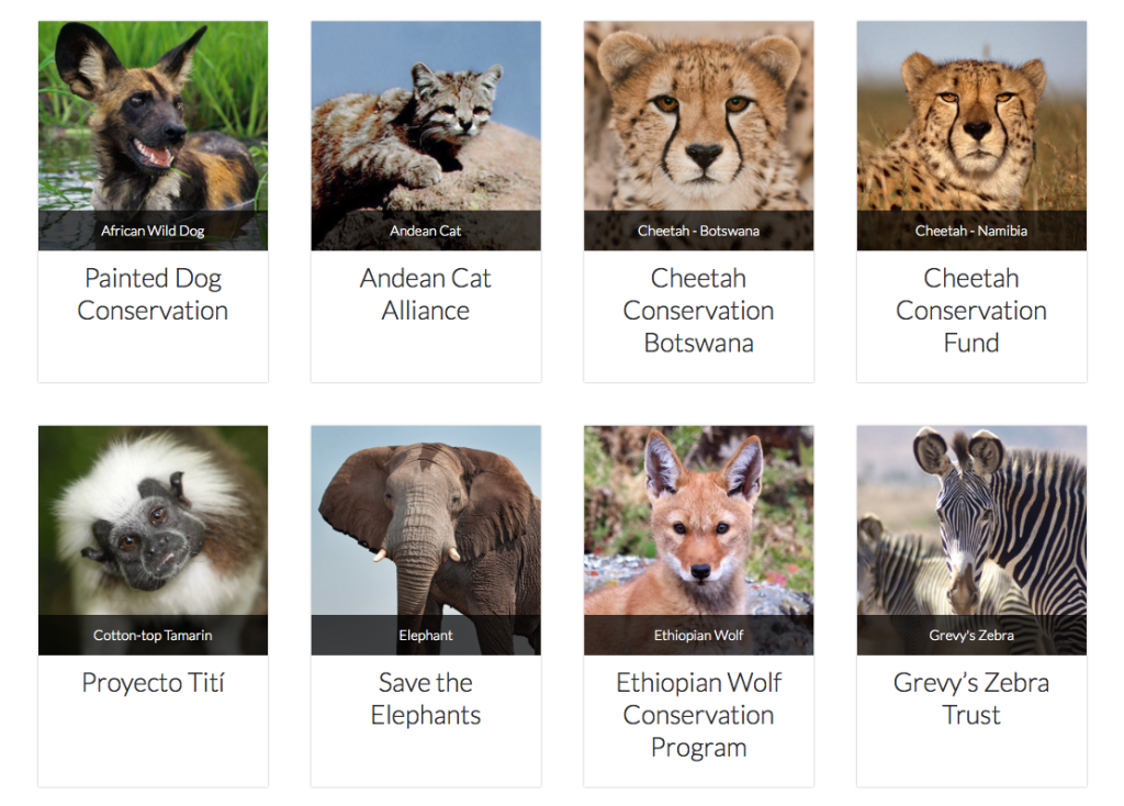 Capture d’écran 2015-07-10 à 14.10.11