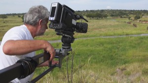 LCP TOURNAGE GRUE TANZANIE VENIR AU MONDE