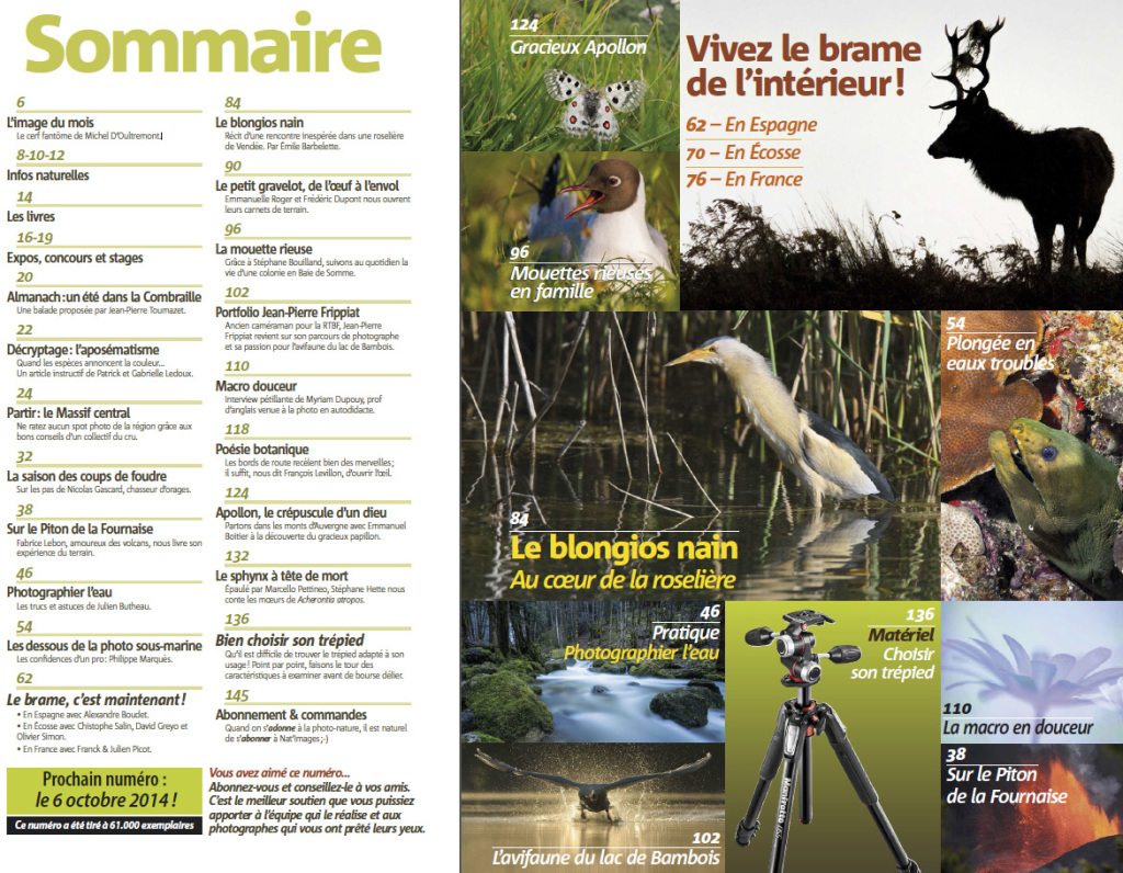 NI027-MiniSommaire-L