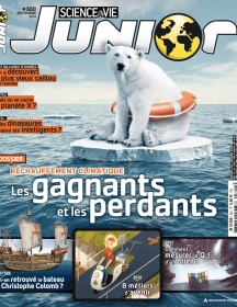 SVJ_218-216x280