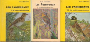 geroudet-passereaux-123-500x232