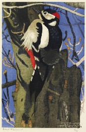 n114_PicEpeicheASonTambour