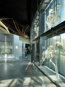 paroiesquelettesinterieur