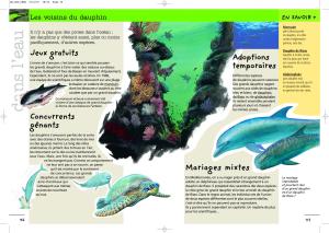 93399_interieure_Hres_2