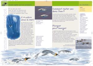 98300_interieure_Hres_3