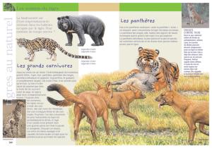 98301_interieure_Hres_1