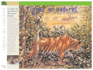 98301_interieure_Hres_4