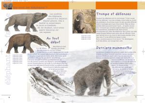 98421_interieure_Hres_2