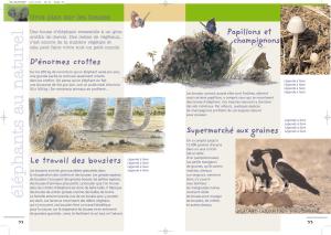 98421_interieure_Hres_3